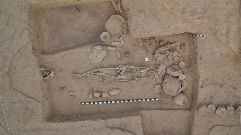 Where did we Indians come from?