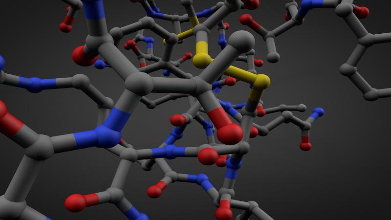 Researchers synthesise a novel polymer from an inert sugar molecule