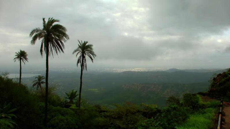 आरती हळबे, गुब्बी लॅब्स, द्वारा फ्लिकर
