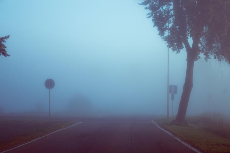 Looking through the fog