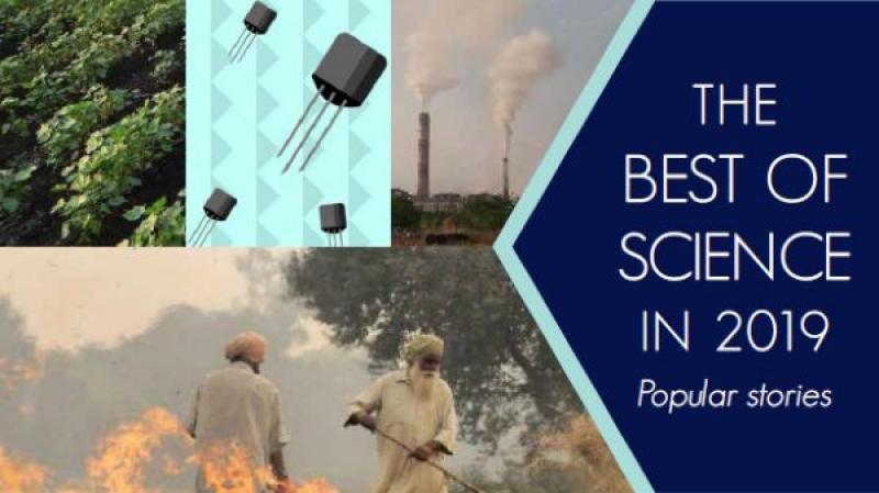 Popular articles on Research Matters for 2019