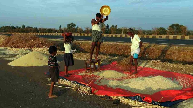 भारत में तापमान बढ़ने से फसल उत्पादन के लिए खतरा हो सकती है।